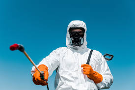 Best Fumigation Services  in Massapequa, NY